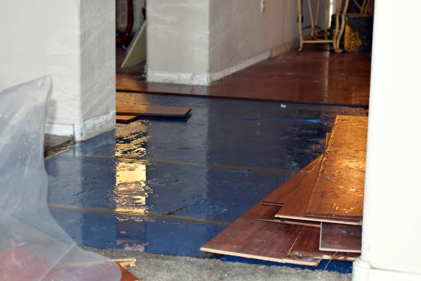 Professional Water Extraction technician working in Brillion, WI